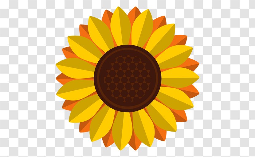 Common Sunflower - Oil Transparent PNG