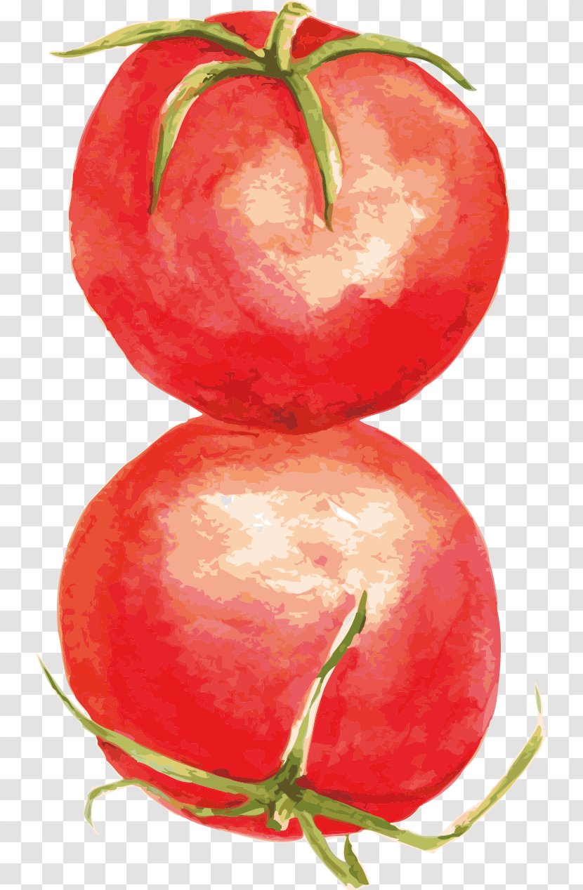 Tomato Food Computer File - Diet - Vector Transparent PNG