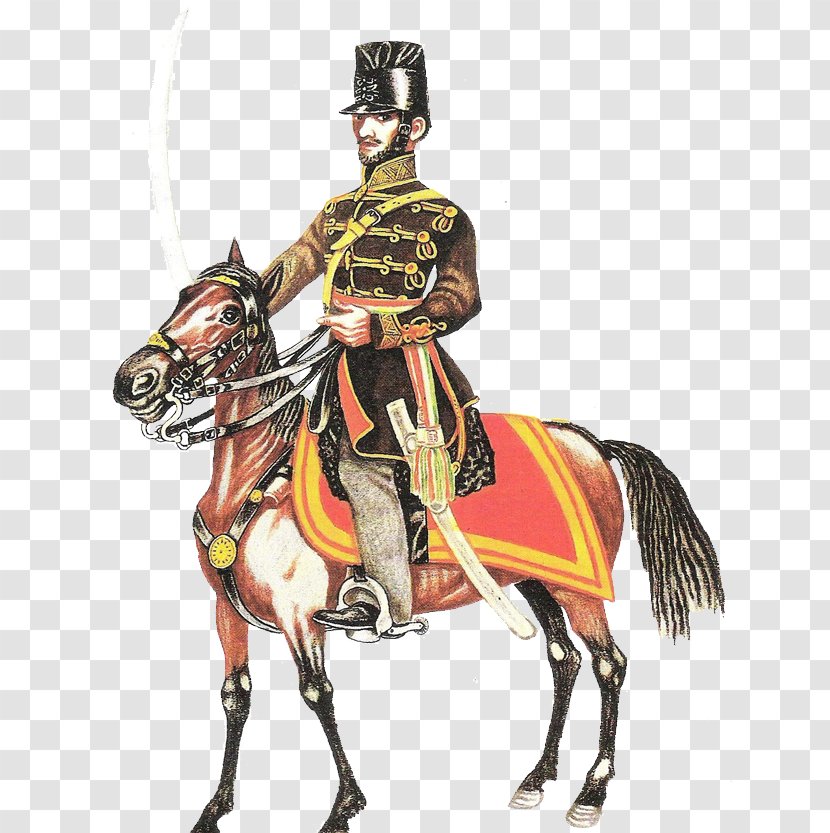 A Magyar Huszár Polish Hussars Hungarian Revolution Of 1848 Pápa Horse - Budai Transparent PNG