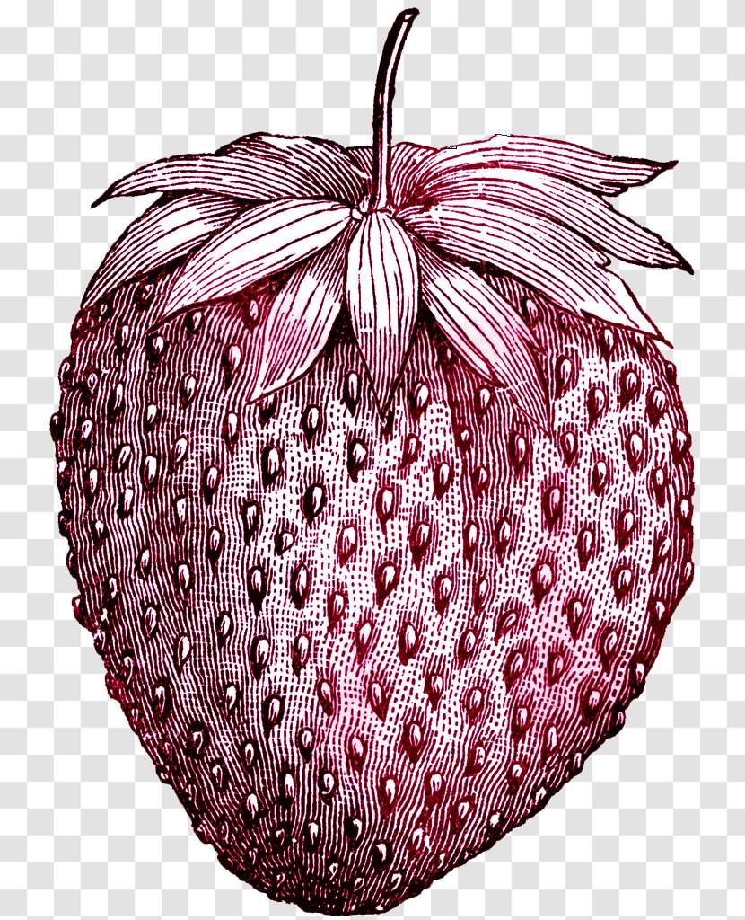 Strawberry Tattoo Fruit Ice Cream Drawing - Vintage Transparent PNG