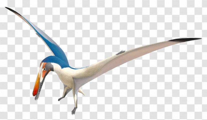 Tugulu Group Haopterus Hamipterus Pteranodontoidea Harpactognathus - Early Cretaceous - Pterosaurs Pictogram Transparent PNG