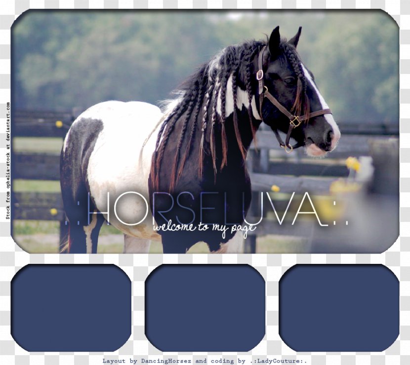 Mane Bridle Stallion Howrse Mare - Mustang Transparent PNG