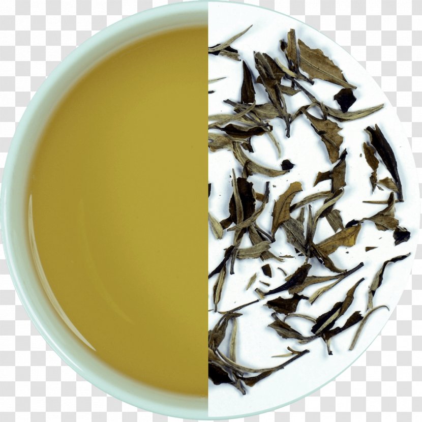 Assam Tea Darjeeling White Baihao Yinzhen - Nilgiri Transparent PNG