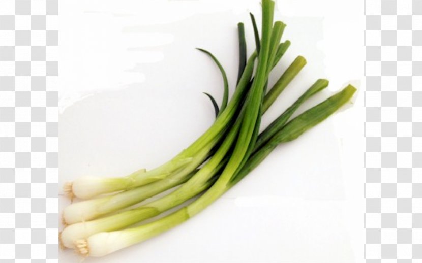 Scallion Chives Cong You Bing Shallot Recipe - Vegetable Transparent PNG
