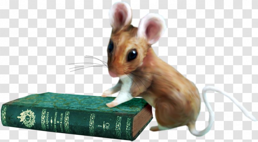 Rat Gerbil Hamster Computer Mouse Fauna Transparent PNG