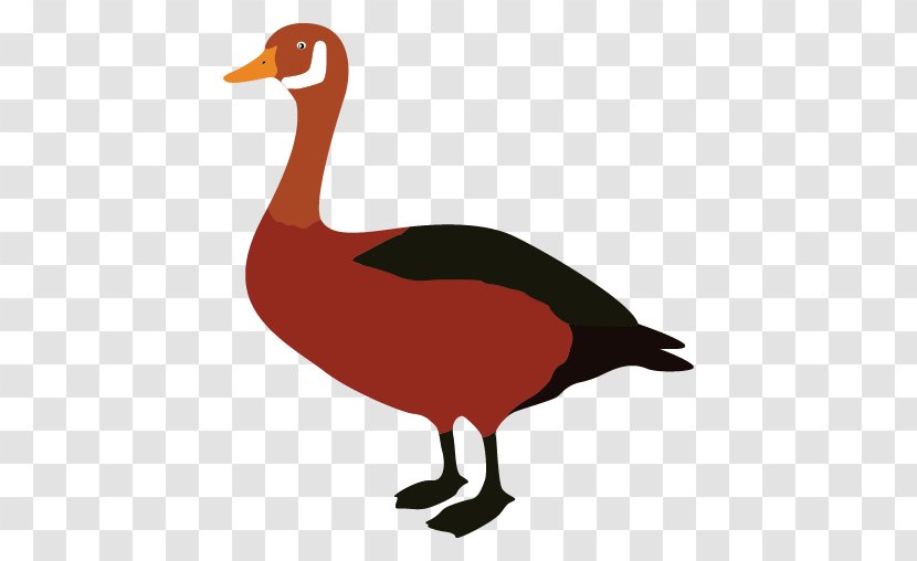 Duck Goose Clip Art - Ducks Geese And Swans Transparent PNG
