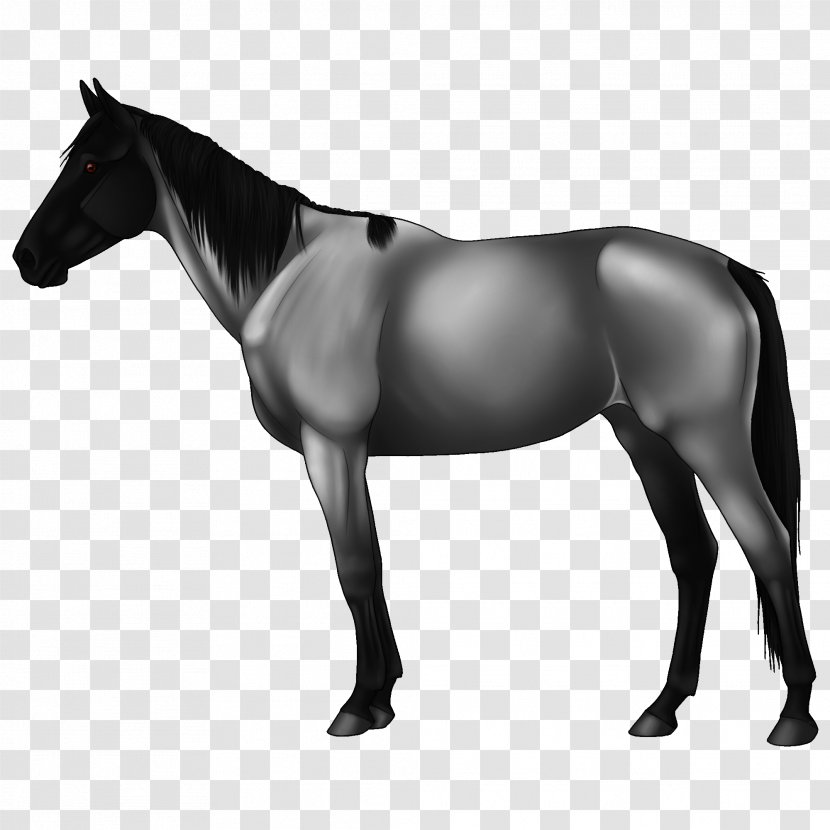 Horse Mule Stallion Pony Mare - Mammal - Flea Market Transparent PNG