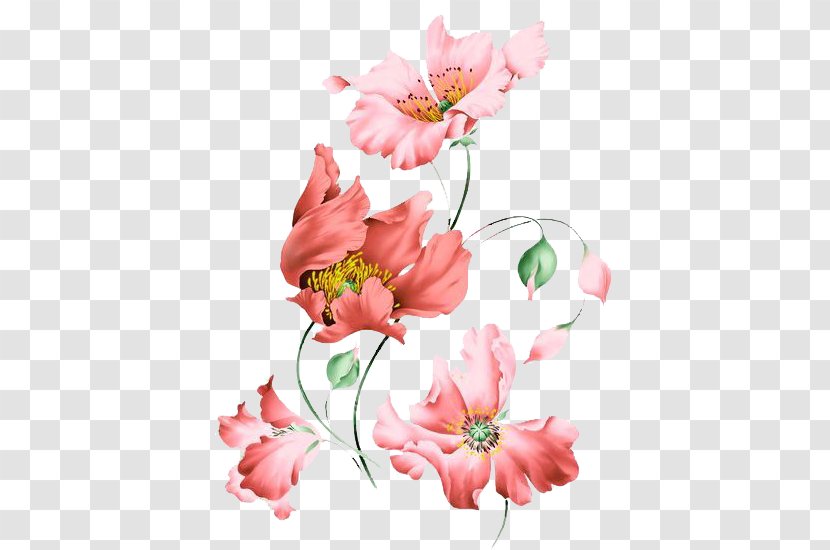 Flower Poster Photography - Blossom - Petal.watercolor Transparent PNG