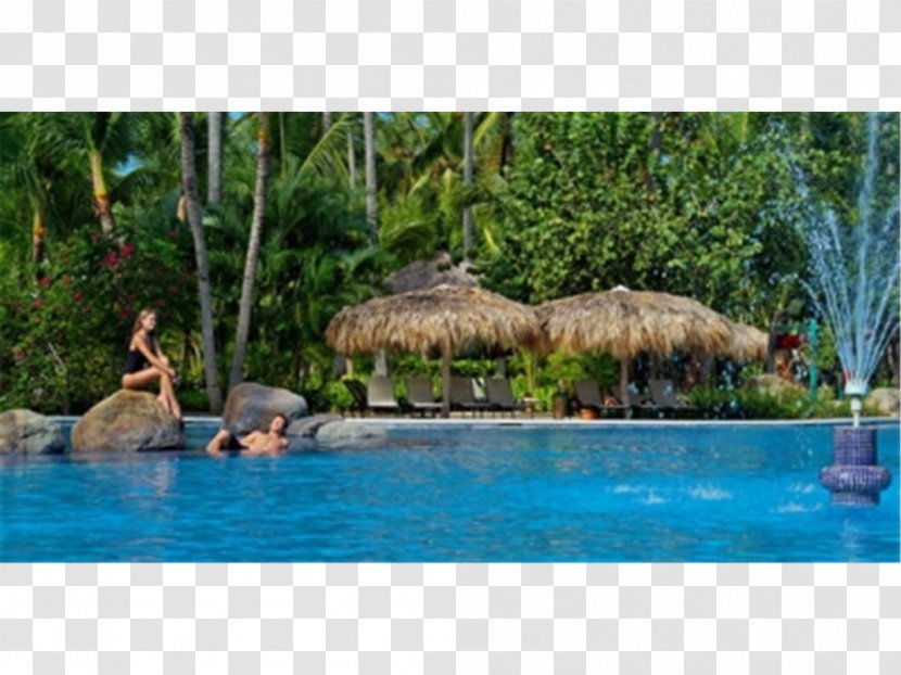 Swimming Pool Paradisus Punta Cana Resort. Leisure - Bar Transparent PNG