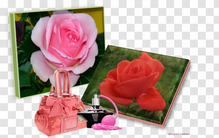 Garden Roses Floral Design Cut Flowers - Artificial Flower - Rose Transparent PNG