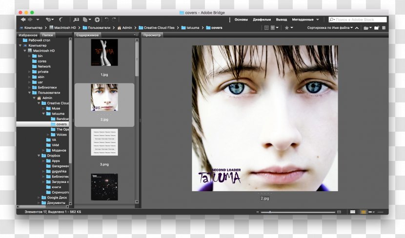 Graphics Software Computer Smolensk Printers Adobe Bridge - Screenshot - Creative Cloud Transparent PNG