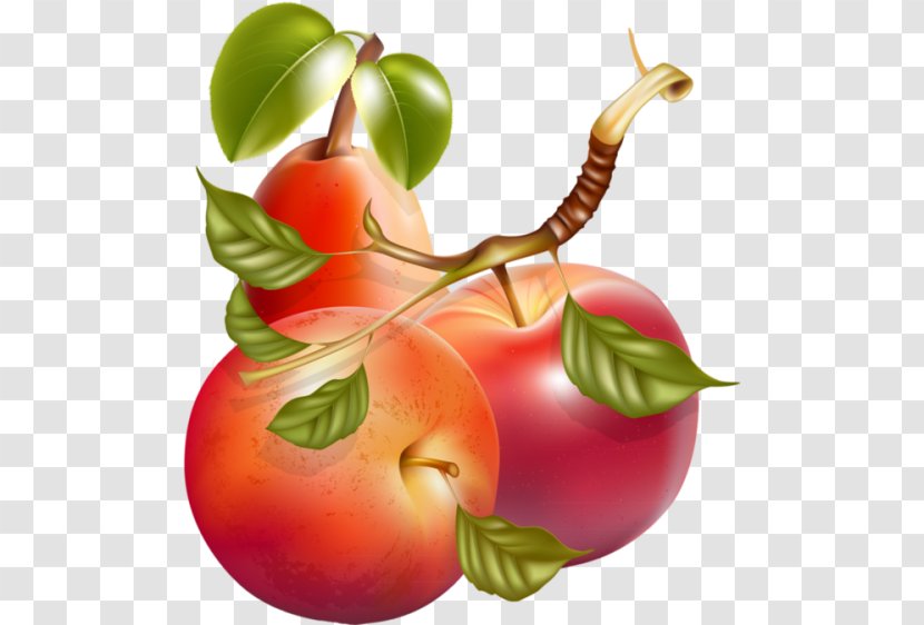 Fruit Apple Vegetable - De Transparent PNG