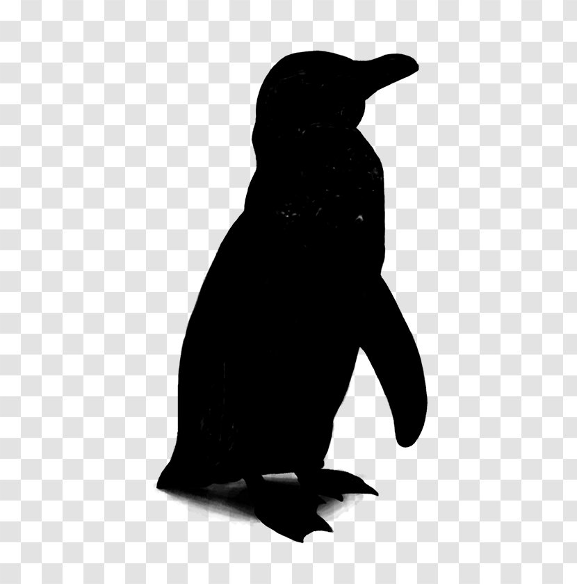 Penguin Beak Fauna Silhouette Black M Transparent PNG