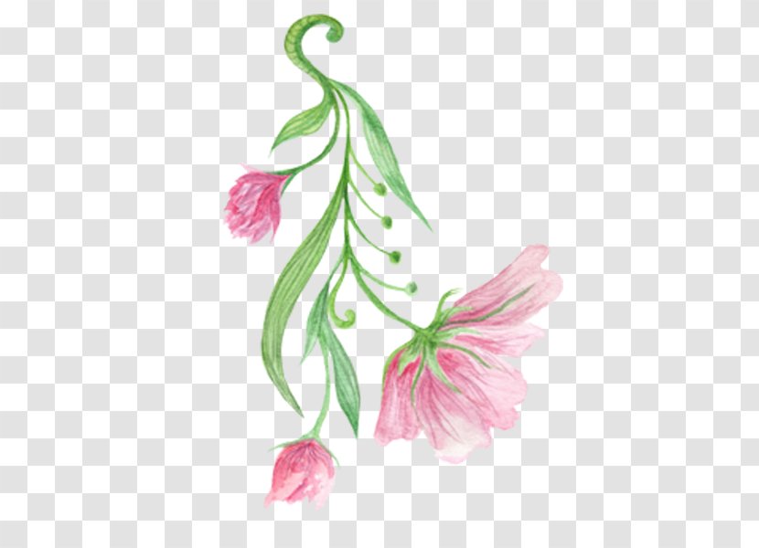 Hibiscus Mutabilis Floral Design Flower - Flowering Plant - Pink Painting Transparent PNG