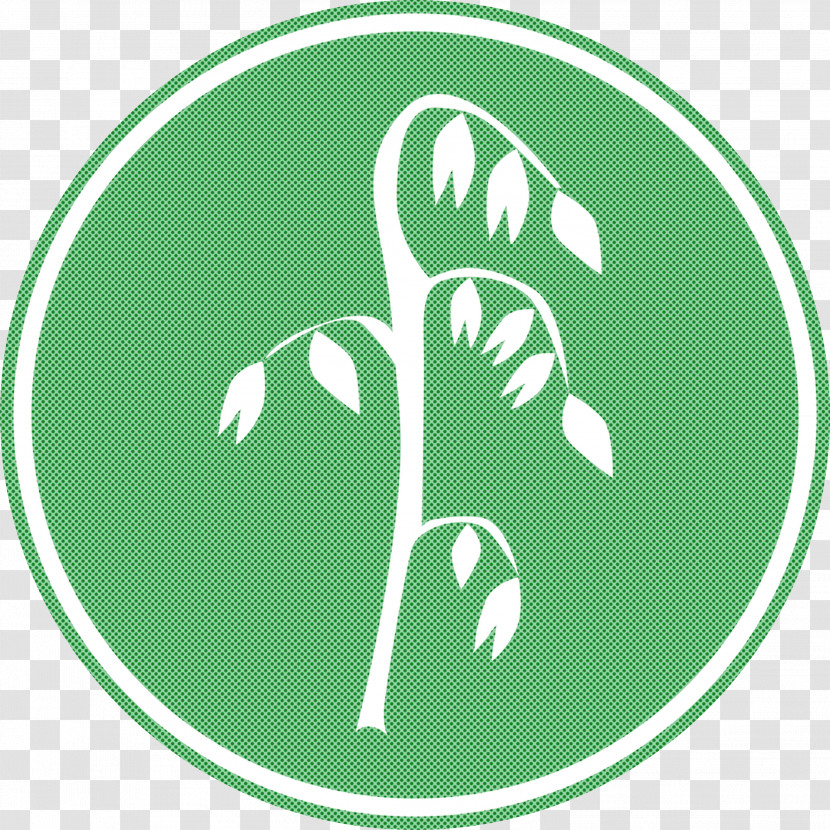 Oats Wheat Oats Logo Transparent PNG