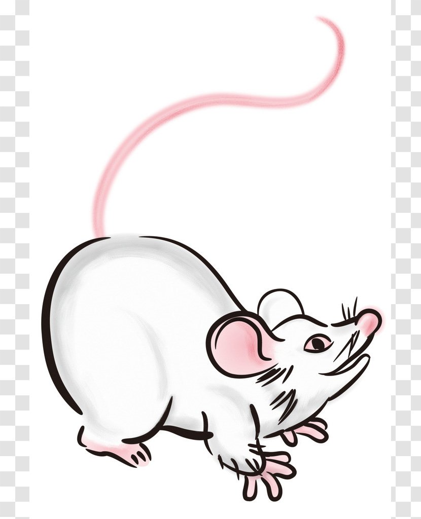 Chinese Zodiac Rat Muroids Hamster Earthly Branches - Color Mouse Transparent PNG