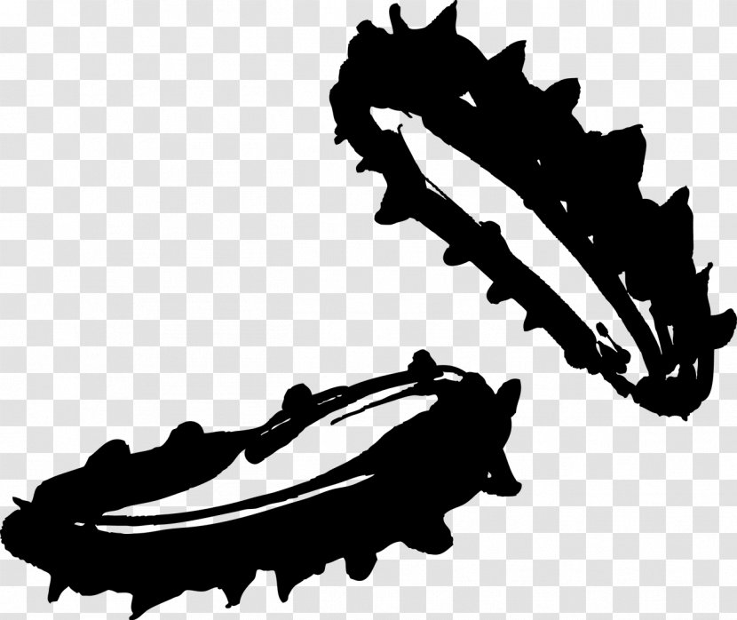 Sea Cucumber As Food Seafood Clip Art - Shoe - Hand-painted Ink Transparent PNG