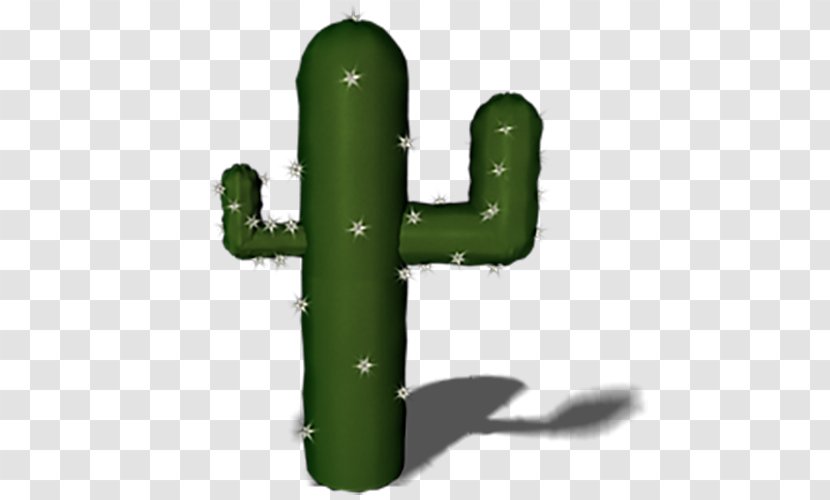 Cactaceae Icon - A Cactus Survive Transparent PNG