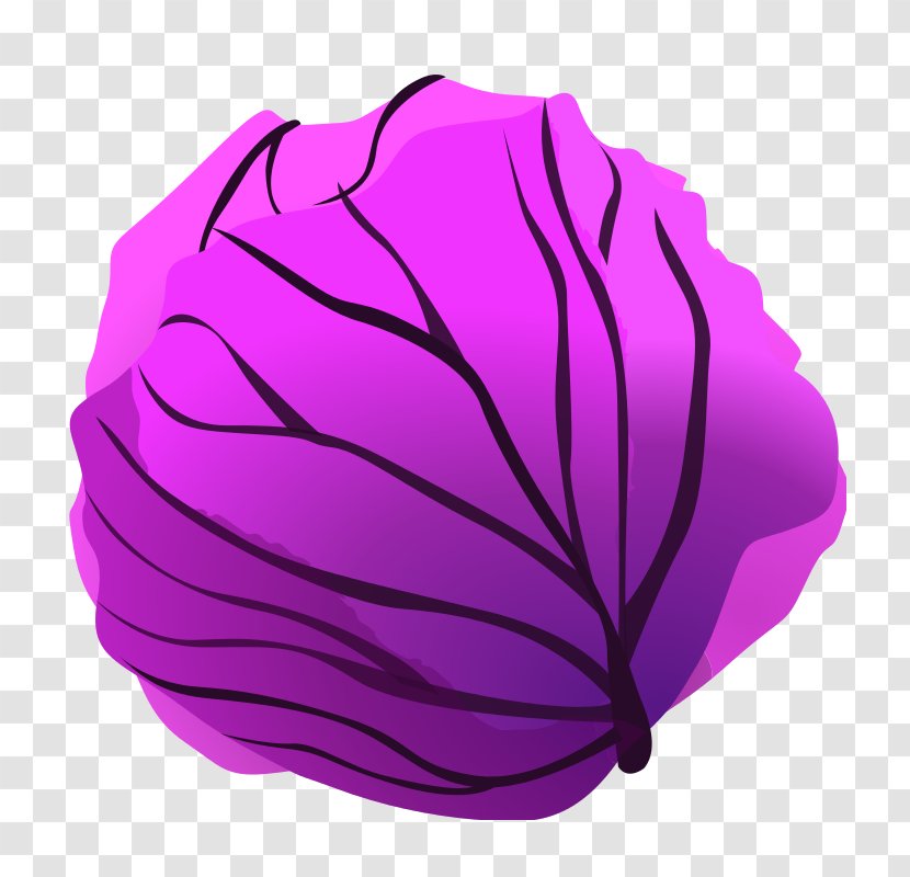 Red Cabbage Lettuce Clip Art - Flower - Purple Transparent PNG