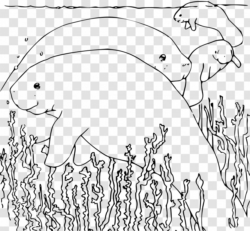 Sea Cows Coloring Book Manatee Steller's Cow - Watercolor - Tree Transparent PNG
