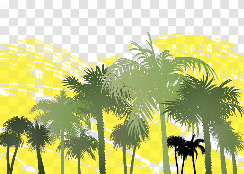 Arecaceae Tree Palm Branch Clip Art - Flower - Graffiti Vector Forest Transparent PNG
