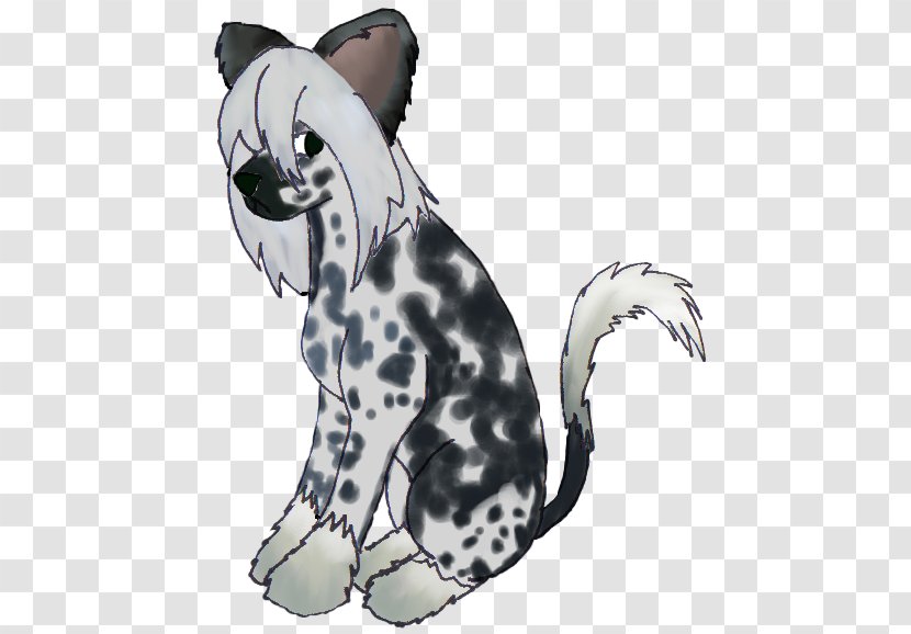 Whiskers Dalmatian Dog Cat Non-sporting Group Horse - Small To Medium Sized Cats Transparent PNG