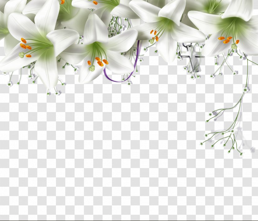 Lilium Flower Taurus - Petal - Fresh Lily Decorative Material Transparent PNG