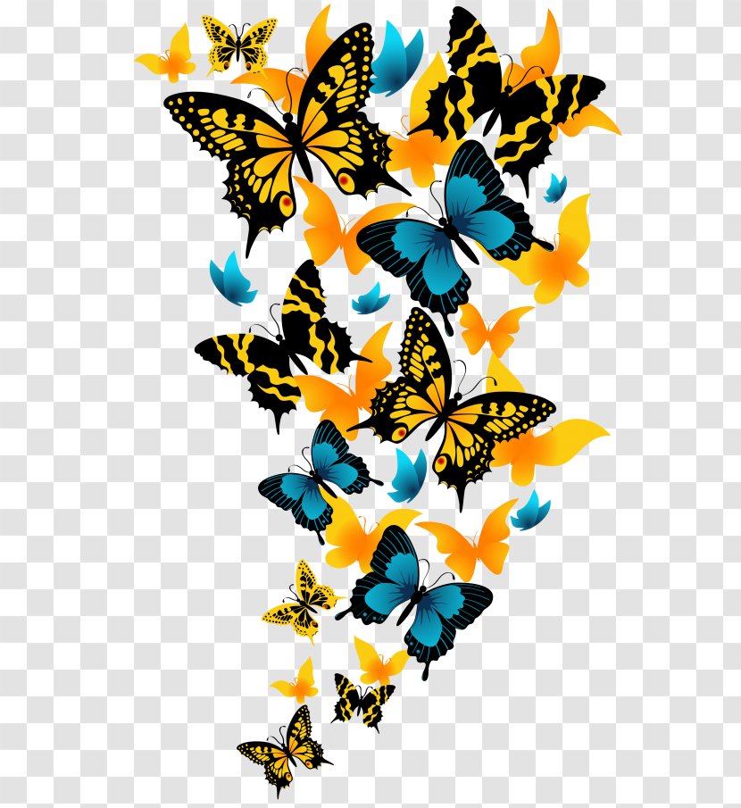 Beautiful Butterfly Clip Art Insect Monarch - Sticker Transparent PNG