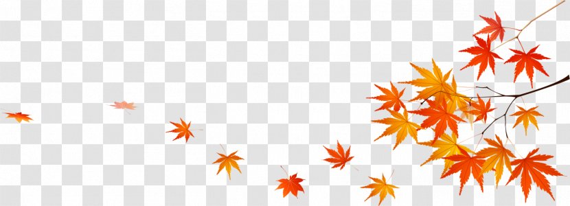 Maple Leaf Image Autumn - Orange Transparent PNG