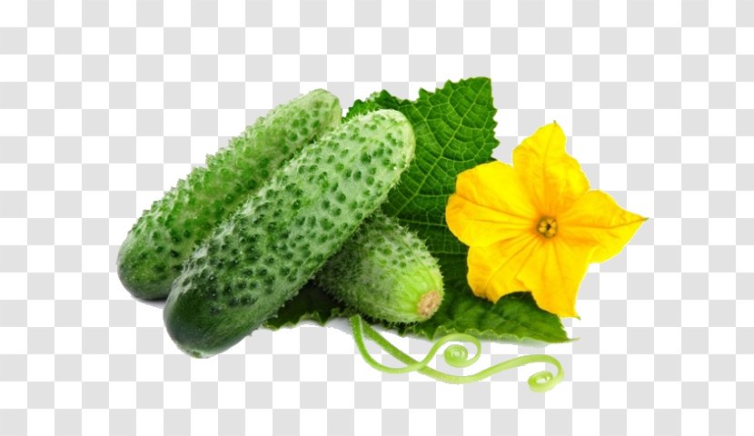 Pickled Cucumber Vegetable Salad Rassolnik - Cultivar Transparent PNG