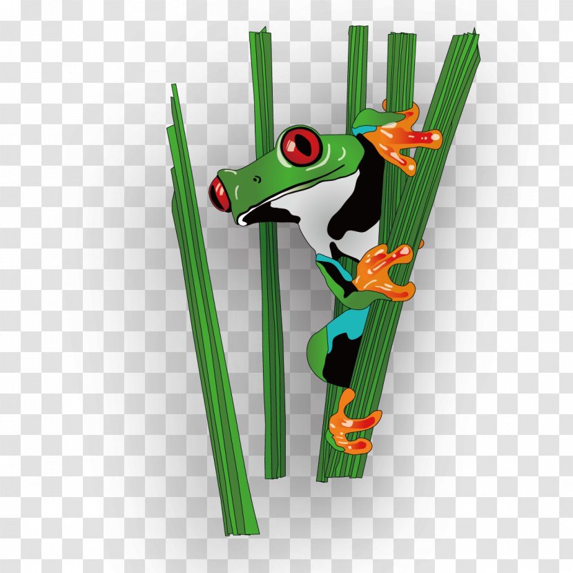 Lawn Sign Frog - Amphibian - Grass Transparent PNG
