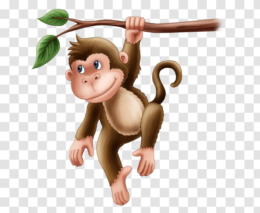 Monkey Primate Carnivora Animal Animated Cartoon Transparent PNG