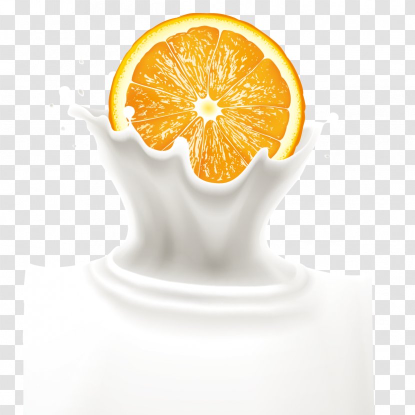 Orange Juice Milk Drink - Oranges And Splash Vector Transparent PNG