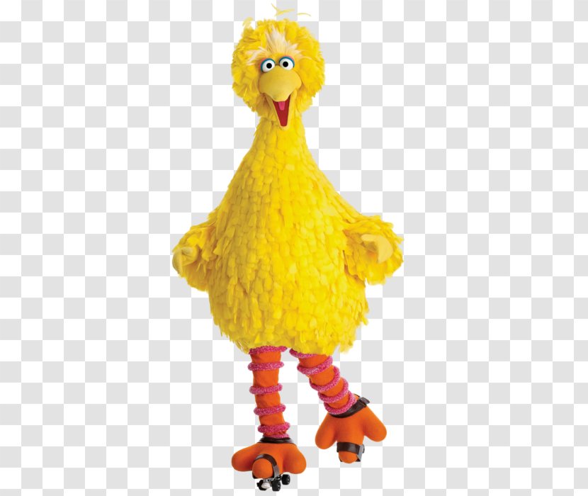 Big Bird Abby Cadabby Oscar The Grouch Ernie Elmo - Sesame Street Transparent PNG