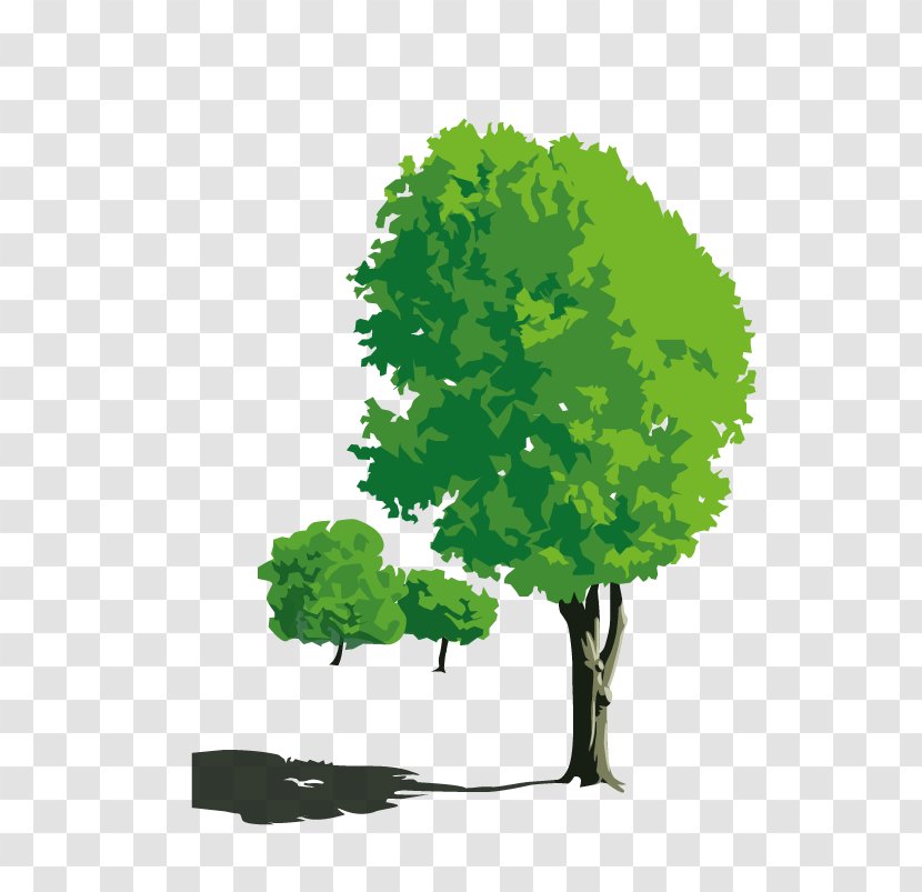 Photography Nature Cartoon - Landscape - Trees Transparent PNG