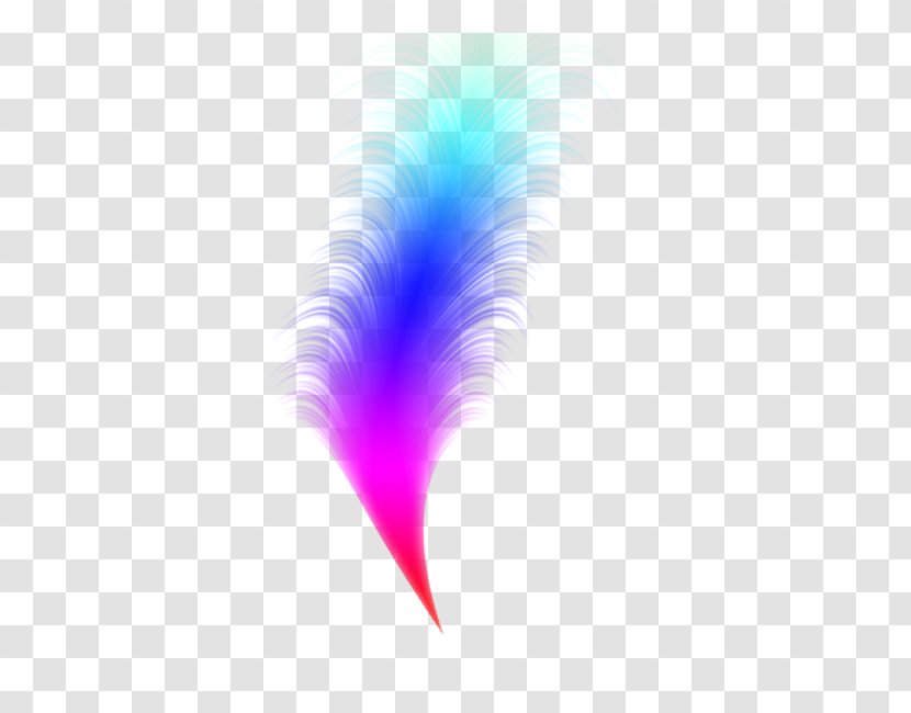 Computer Pattern - Pink - Feather Transparent PNG