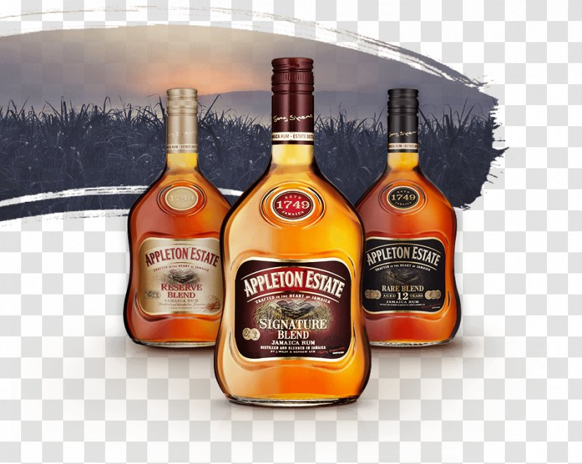 Liqueur Rum Whiskey Jamaica Appleton Estate - Larger Than Barrel Transparent PNG