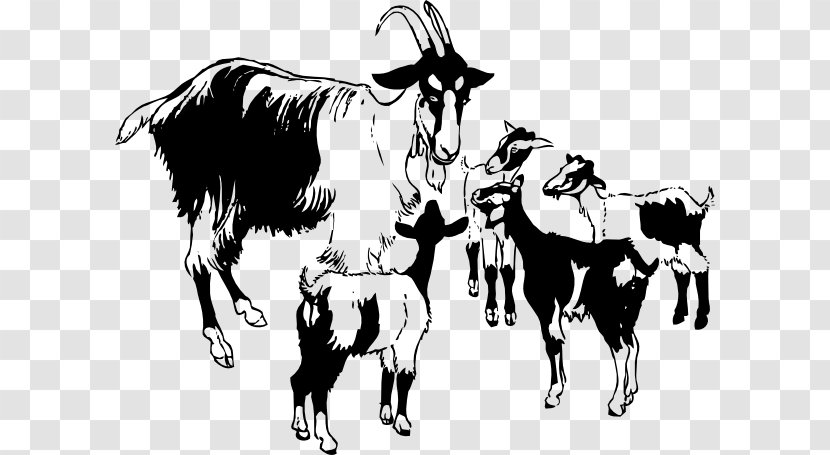 Boer Goat Black Bengal Clip Art - Ox - Herd Cliparts Transparent PNG