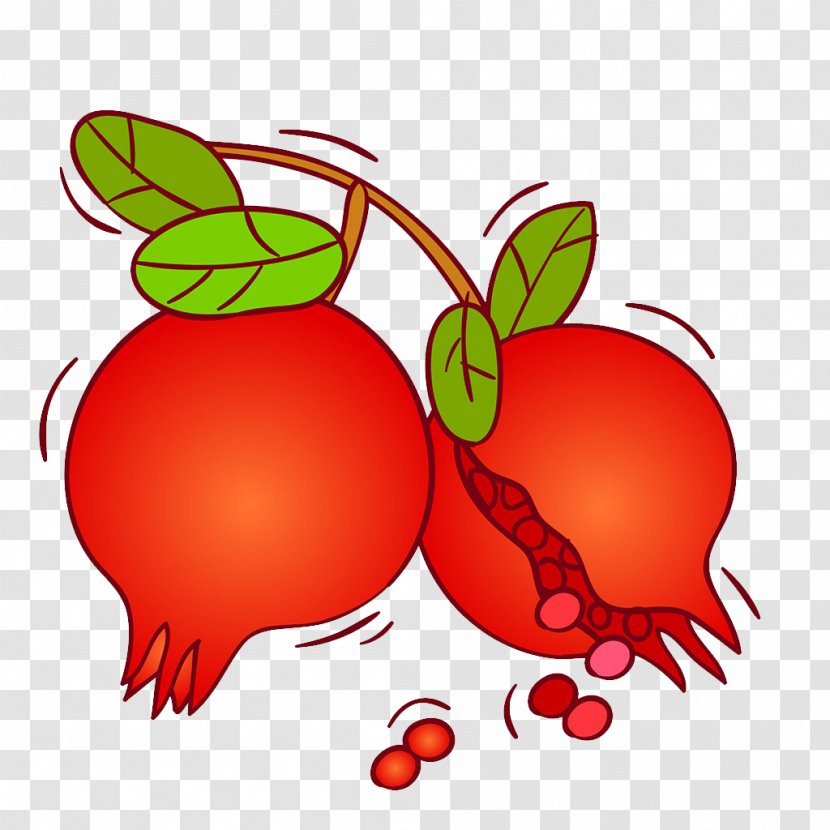Pomegranate Fruit - Artwork Transparent PNG