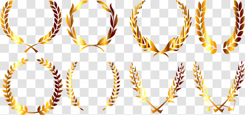 Wheat Barley - Badge Transparent PNG