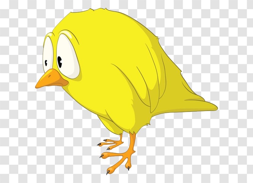Tweety Bird Cartoon Character - Photography - Cute Chick Transparent PNG