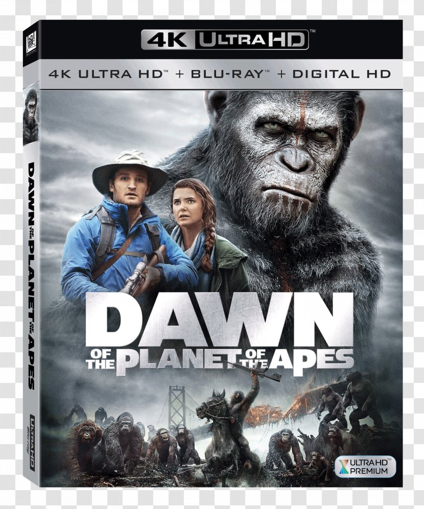 Ultra HD Blu-ray Disc Planet Of The Apes 4K Resolution Digital Copy - 4k - Dvd Transparent PNG