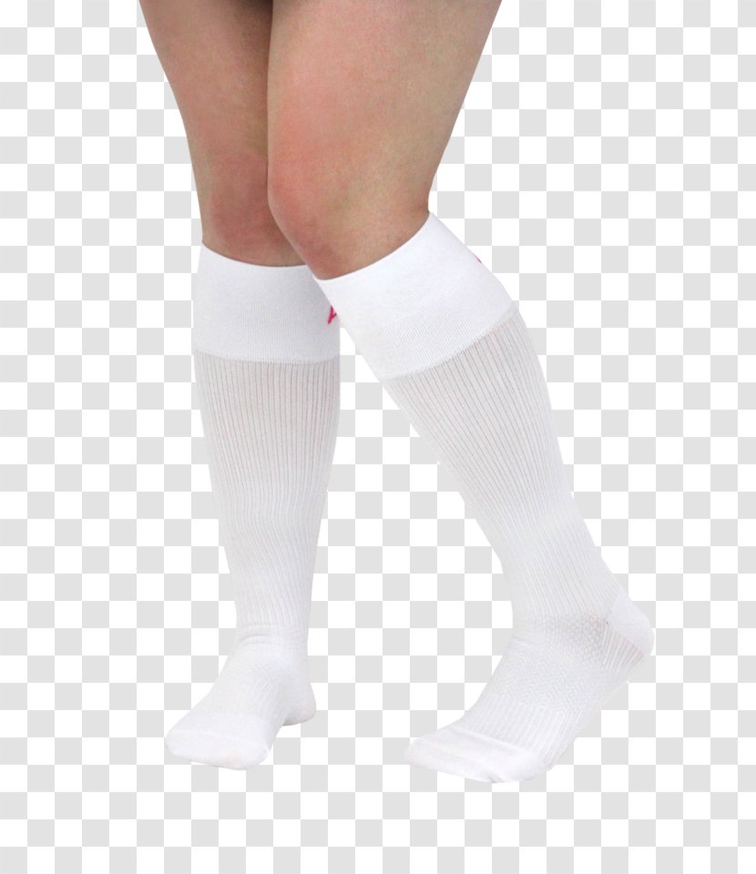 Knee Highs Sock Calf Ankle - Frame - Wash And Nurse Transparent PNG