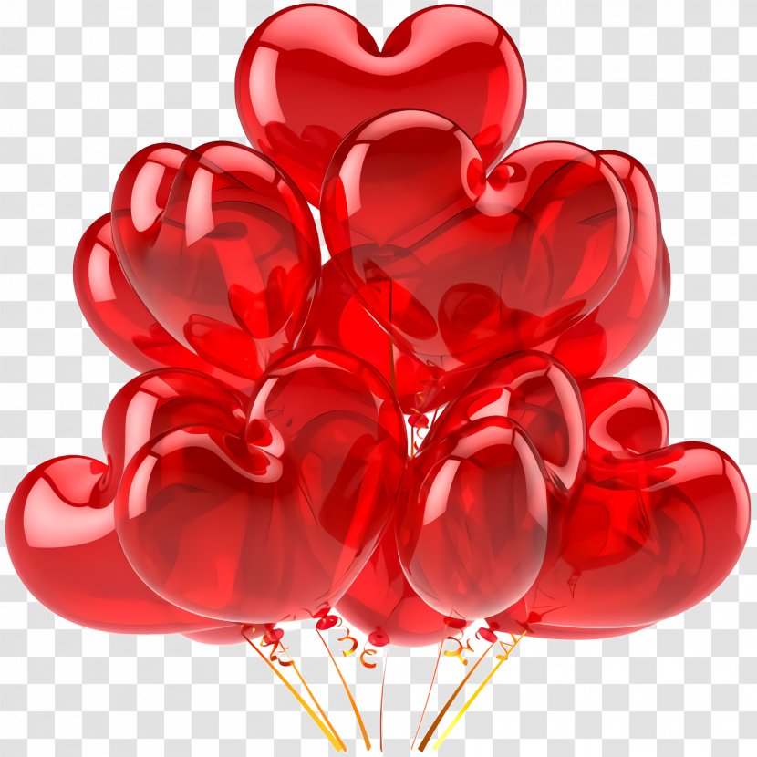 Valentine's Day - Flower - Plant Transparent PNG