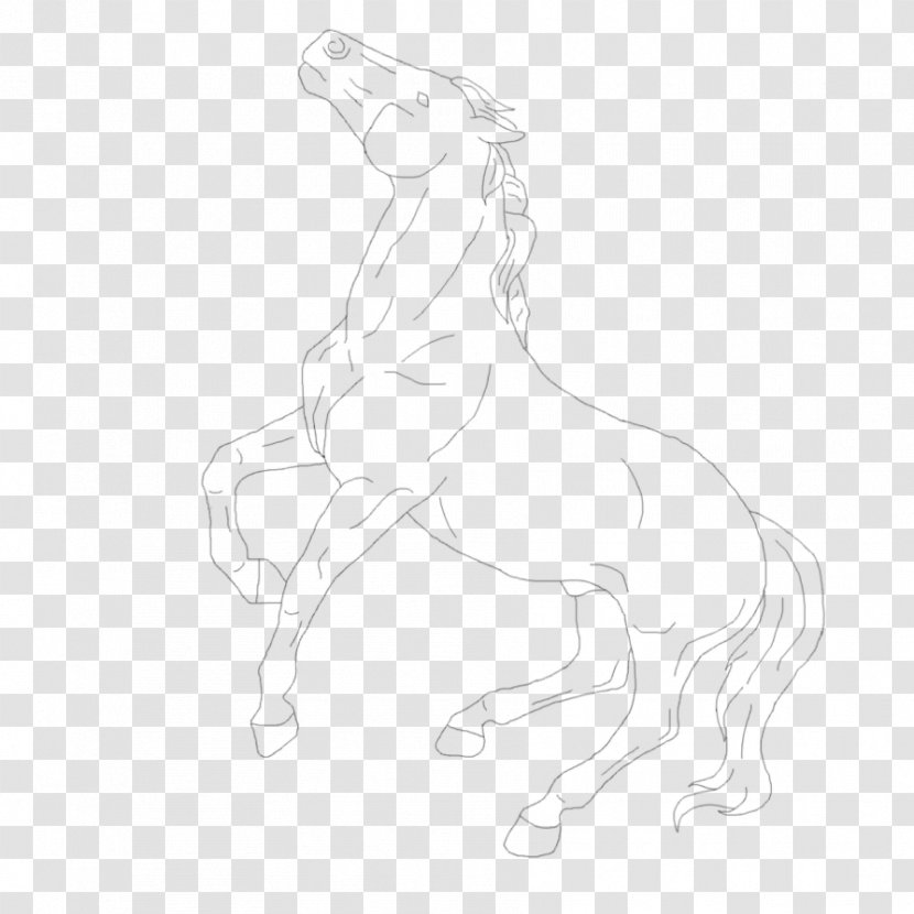 Mane Mustang Pony Stallion Colt - Arm Transparent PNG