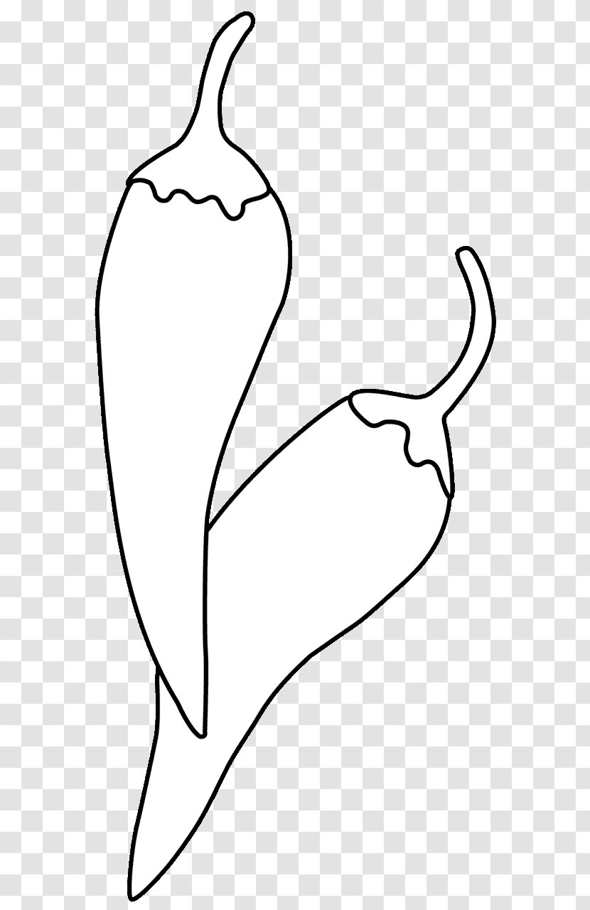 Leaf Thumb Drawing Line Art Clip - Tree - Black And White Manuscript Transparent PNG