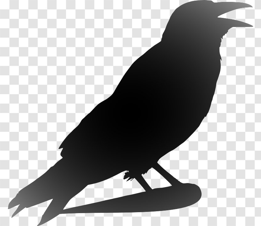 Clip Art Openclipart Crow Image - Raven Transparent PNG