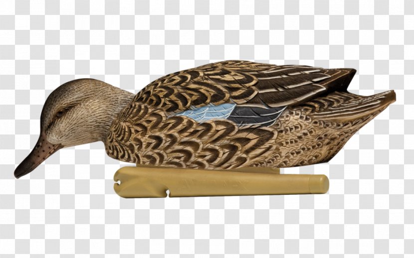 Mallard Duck Decoy Texas Rig - Fauna Transparent PNG