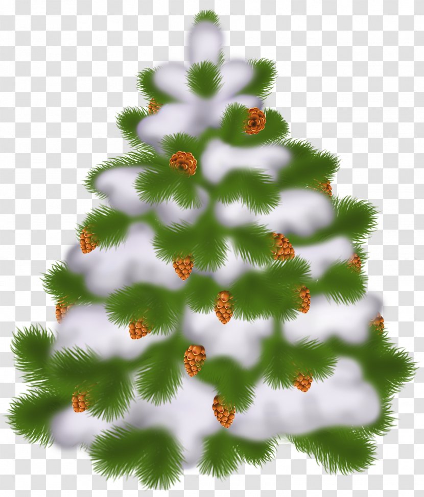 Christmas Tree Day Clip Art - Spruce - Transparent With Cones Transparent PNG