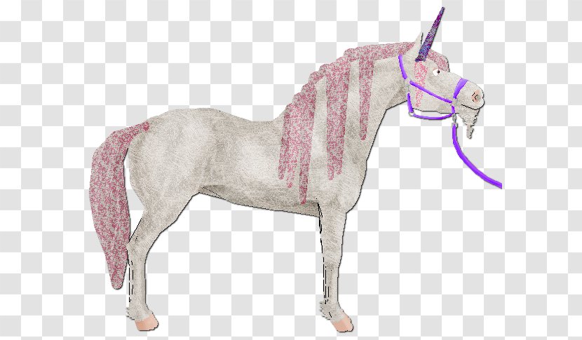 Mane Mustang Pony Foal Stallion - Mythical Creature Transparent PNG